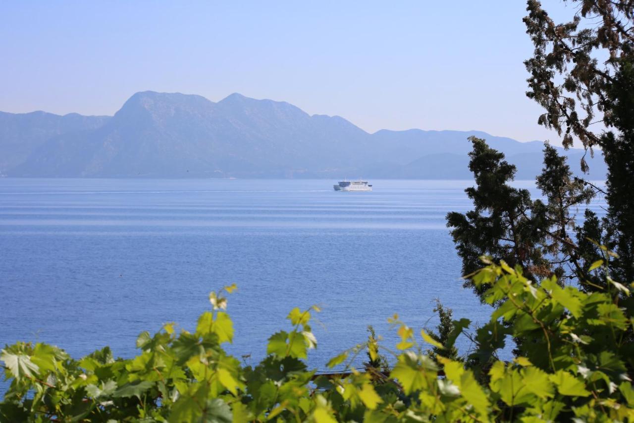 Apartments And Rooms By The Sea Trpanj, Peljesac - 258 Exterior photo